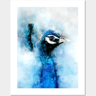 Dramabite Watercolor peacock bird artsy artistic painting wildlife Posters and Art